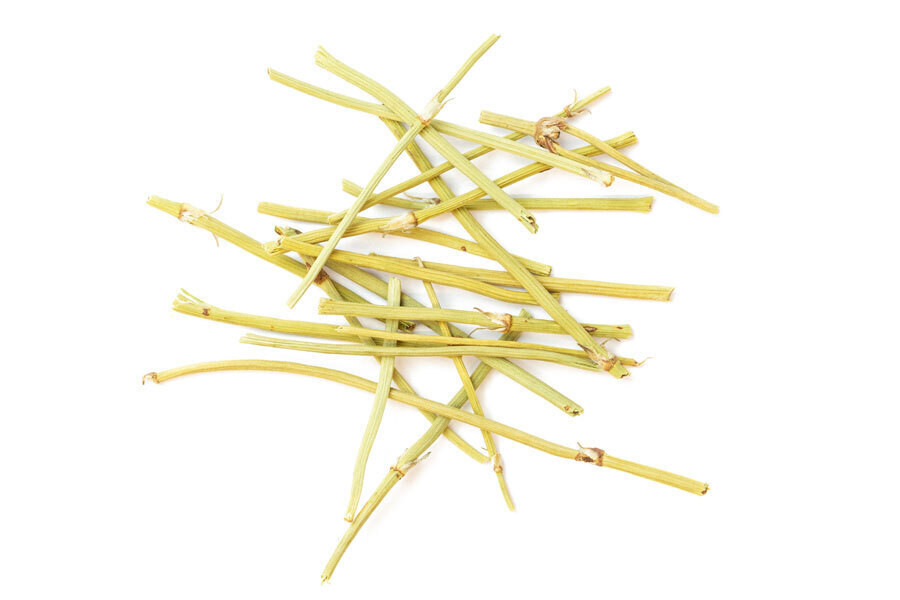 Mahuang (Ephedra)