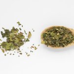 Maulbeerblaetter loeffel