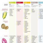 Plakat ina kochen nach den 5 wandlungsphasen detail