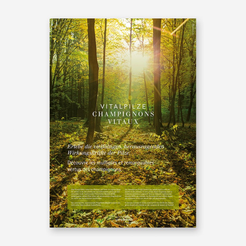 Vitalpilz plakat 3 1000px